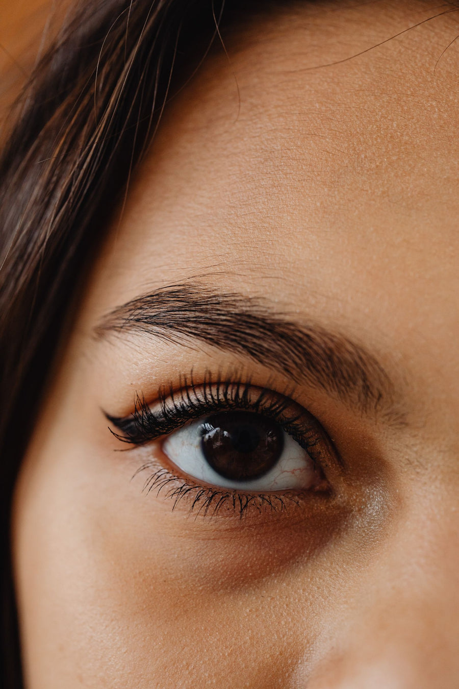 Gros plan sur un regard de biche